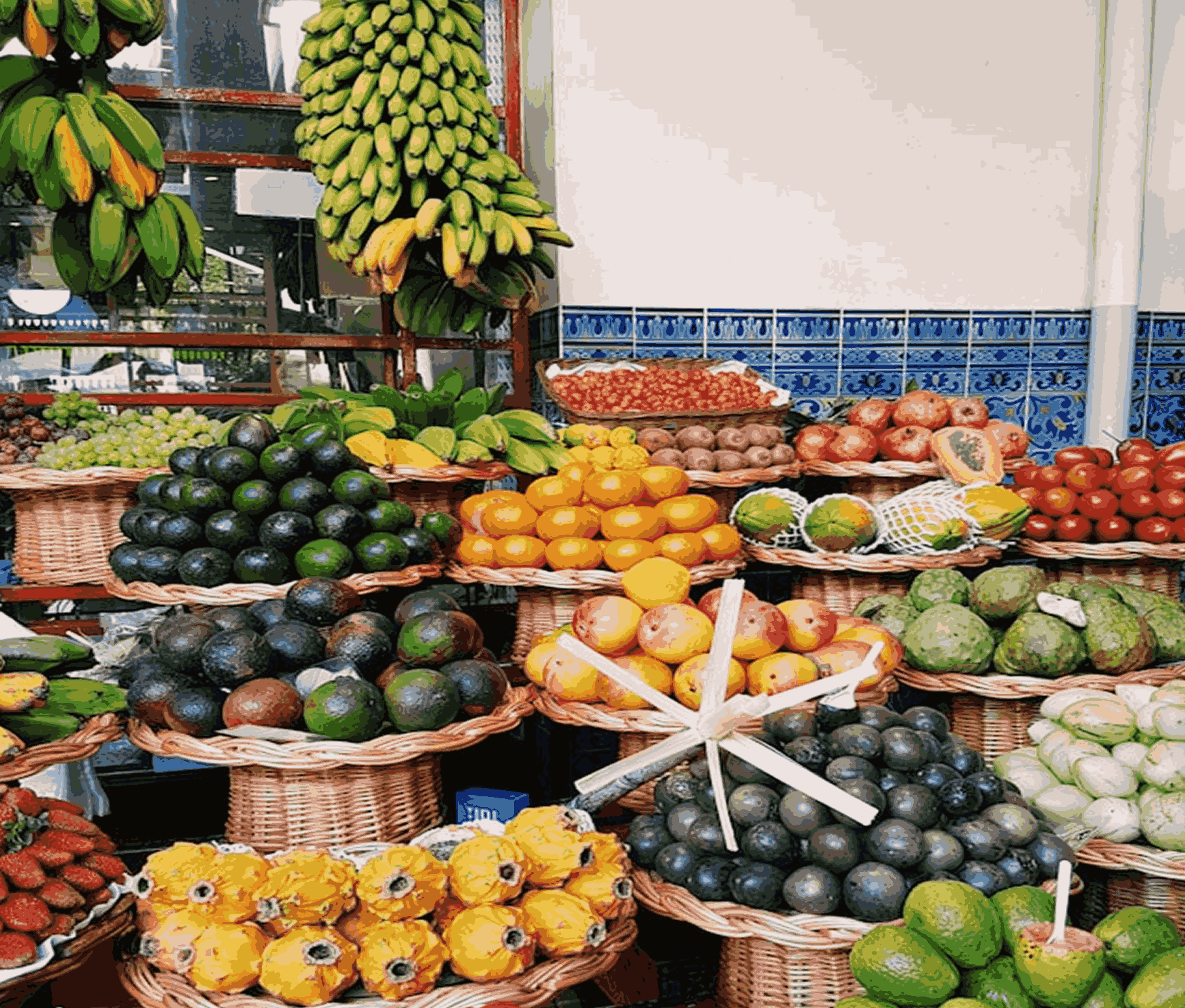 Vegetable & Fruits