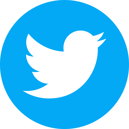 twitterIcon